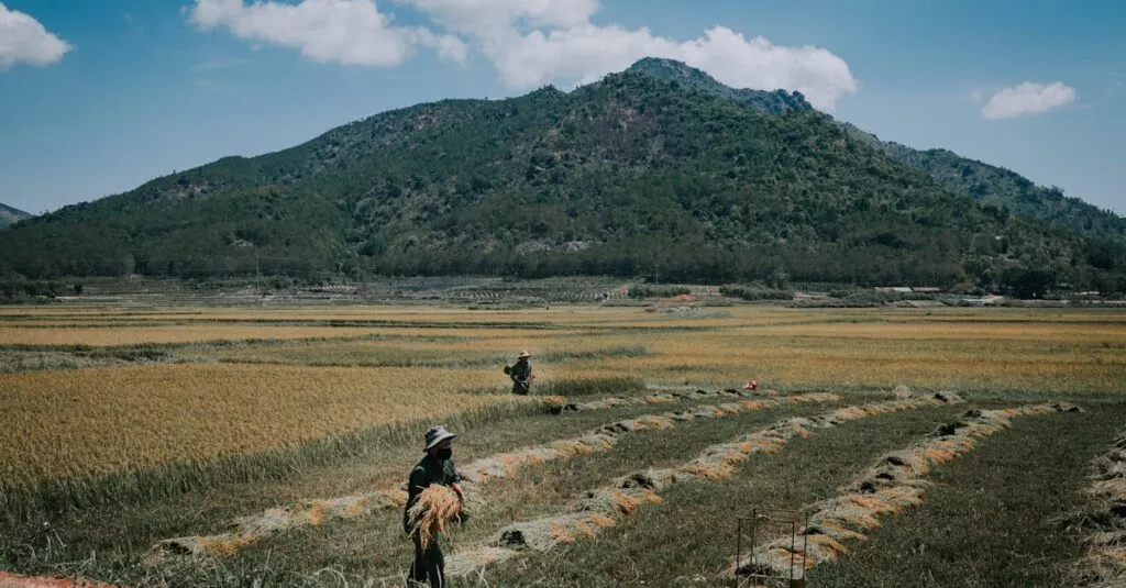 Downloaded Image143aef4fc8a