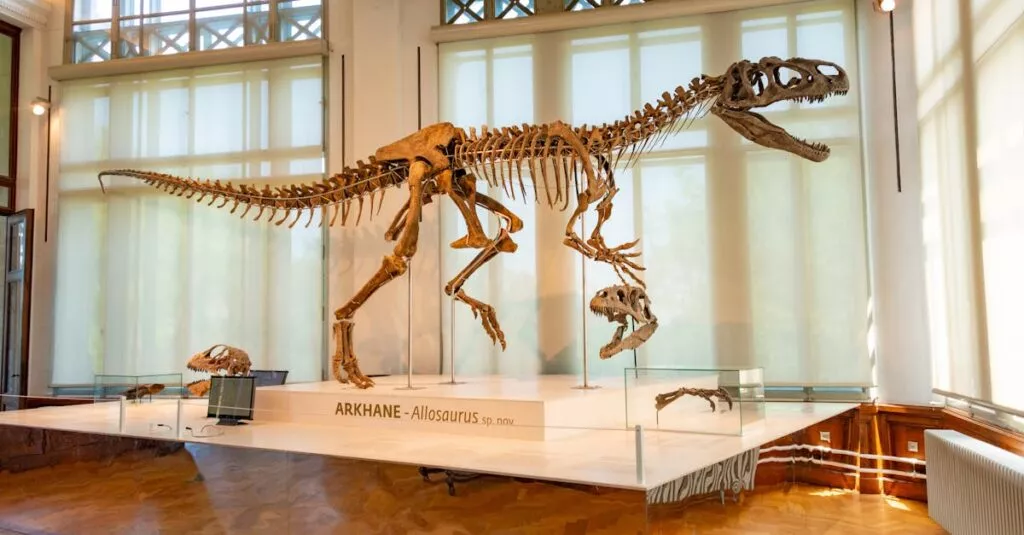 Downloaded Image14af696037a8