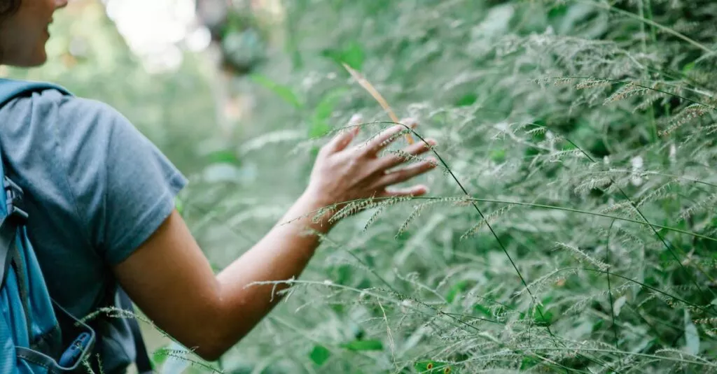 Downloaded Image1ce05a646caf