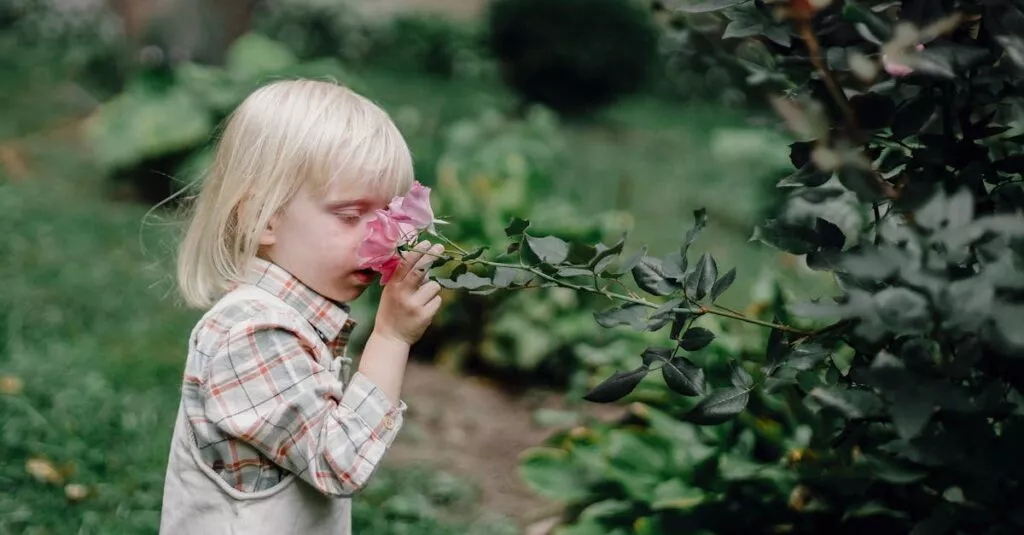 Downloaded Image1e6f7c0f7621