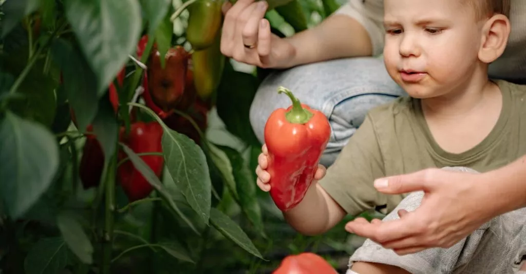 Downloaded Image1ebb3003bfde