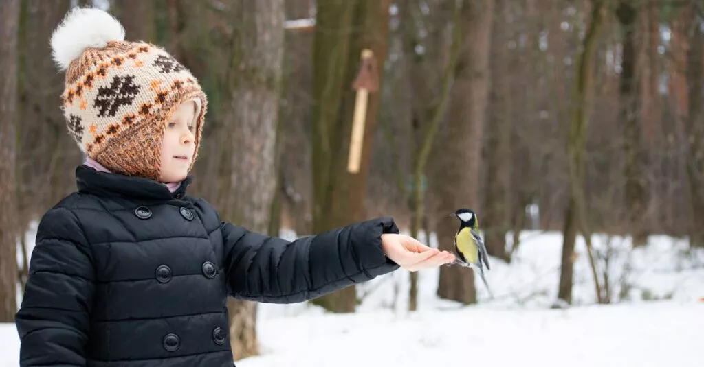 Downloaded Image24de161aa274