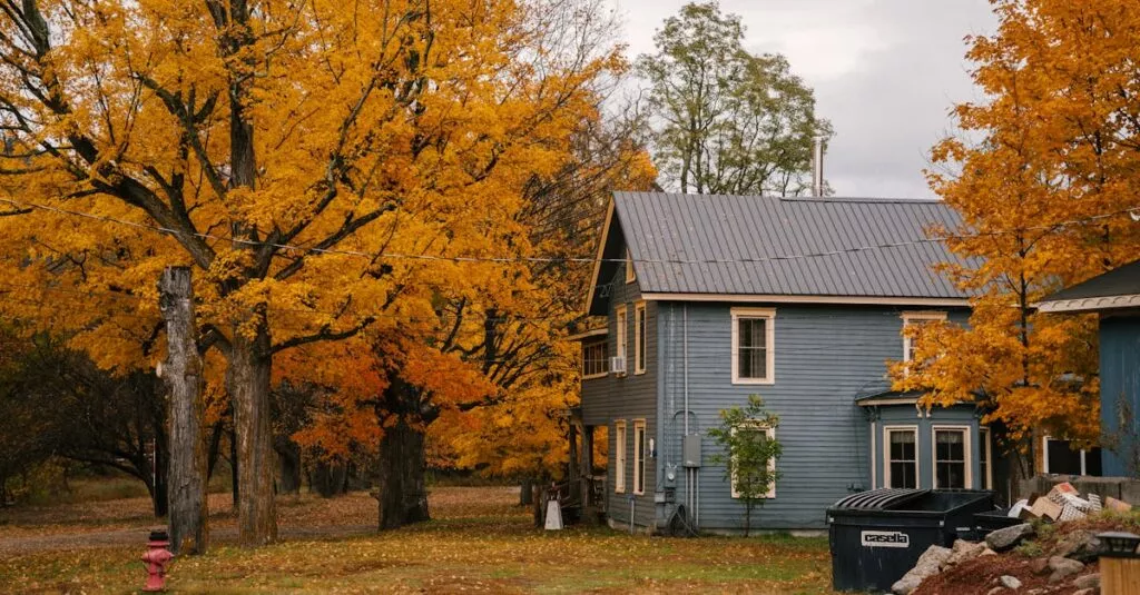 Downloaded Image24de26844a16