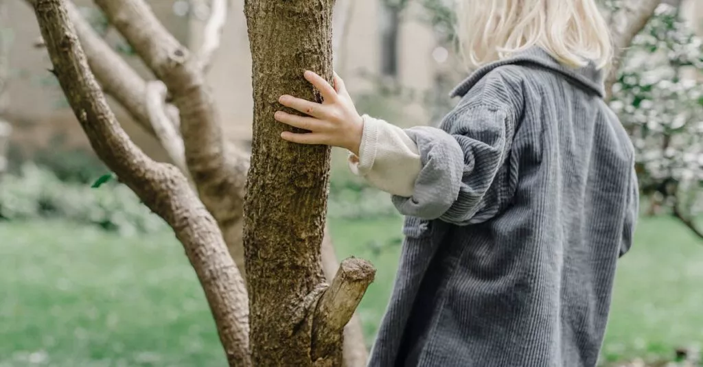 Downloaded Image24de3178bdbf