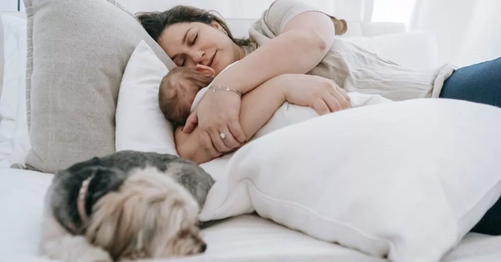 Downloaded Image264c2023cc63