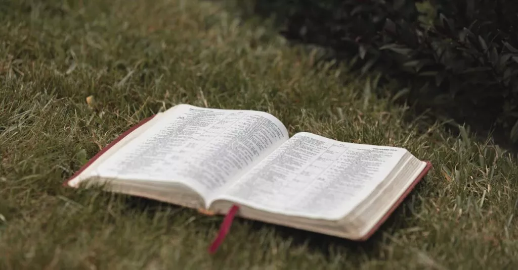 Downloaded Image26b53f3d7c4a