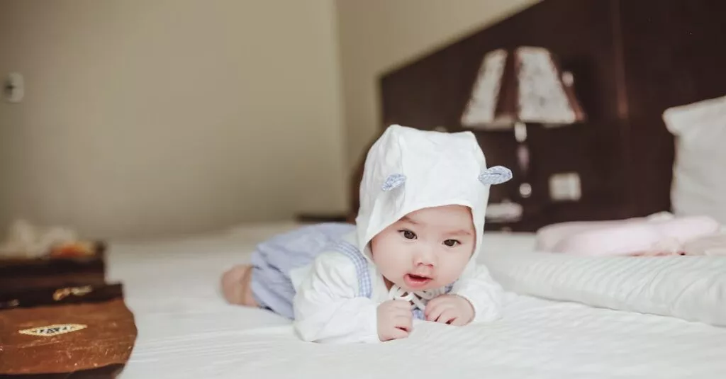 Downloaded Image2fac29194d13