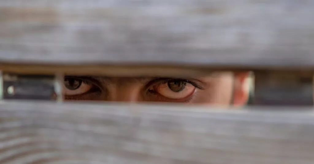 Downloaded Image2fac5fcba51d