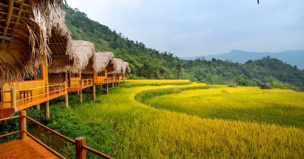 Downloaded Image32f0626db6a