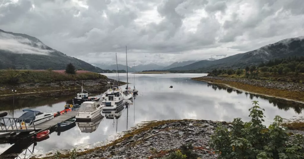 Downloaded Image33bf6e18730f