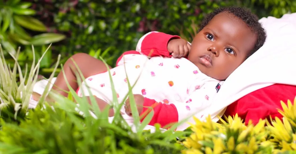 Downloaded Image346b2c2a38b4