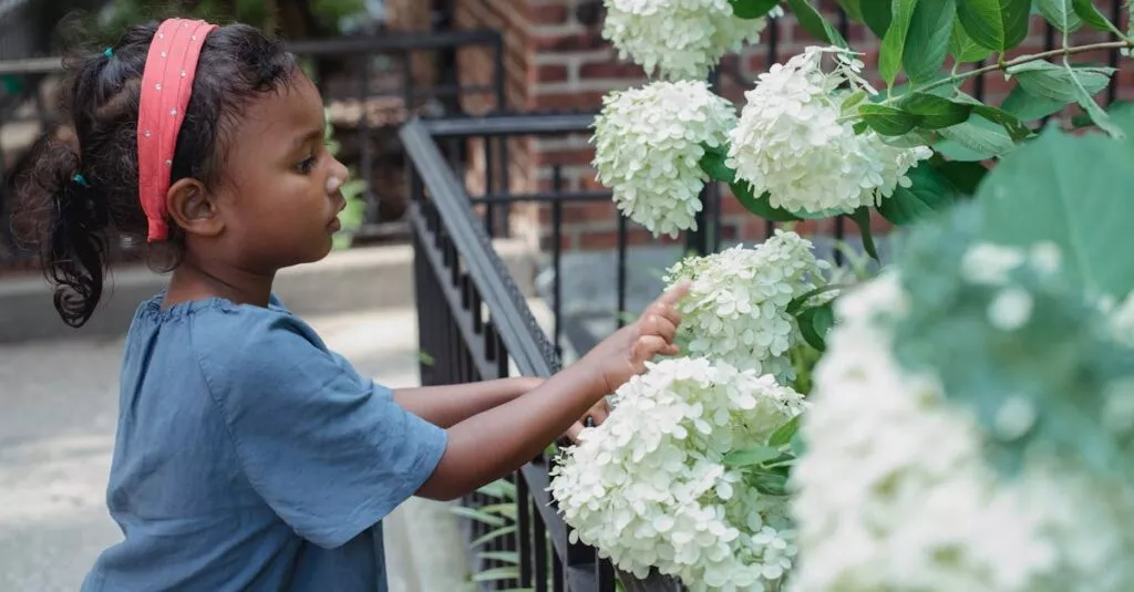 Downloaded Image3bc35852cb07