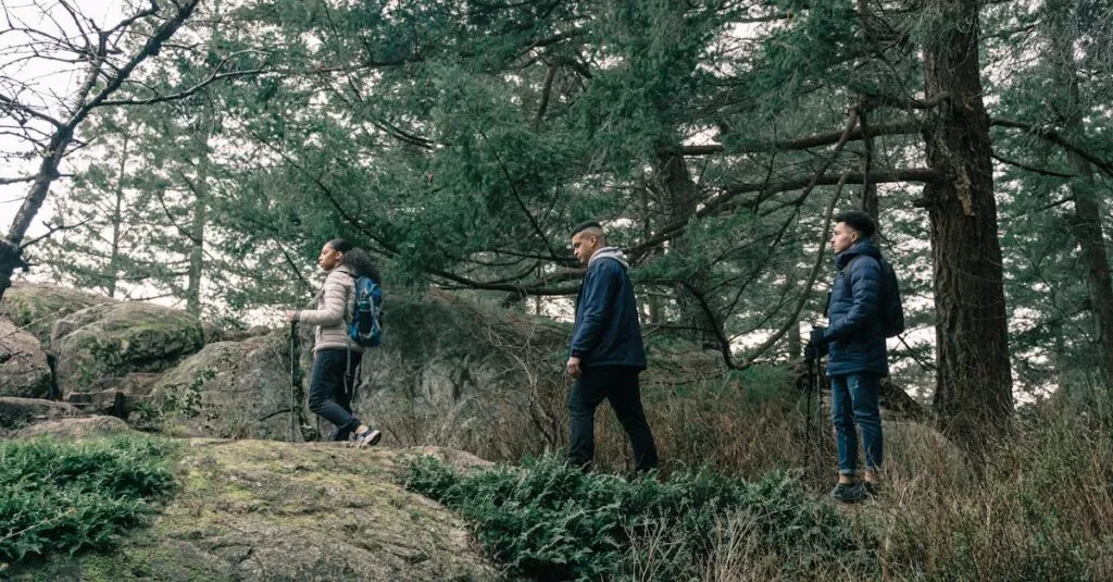 Downloaded Image3ca94b63326f