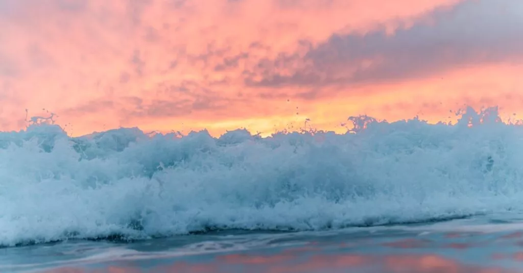 Downloaded Image3ca97e674c09