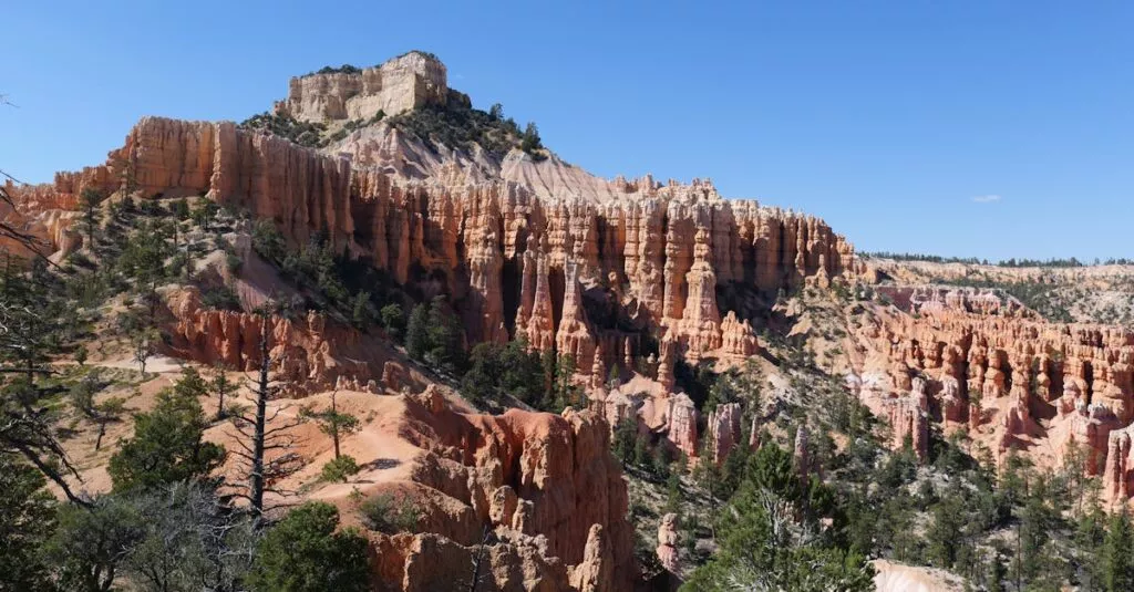 Downloaded Image47845a019f0d