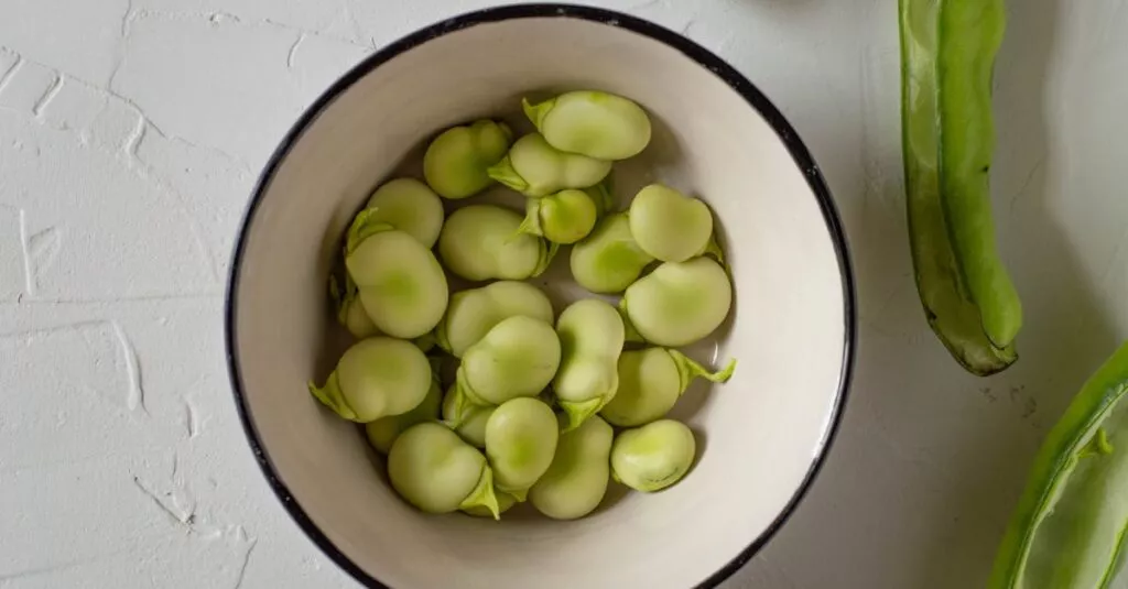 Downloaded Image4b98266b1115