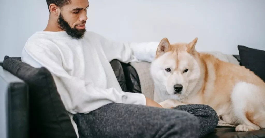 Downloaded Image4b9845d11b8c