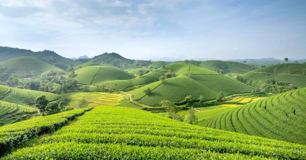 Downloaded Image511f3bb5d4e0