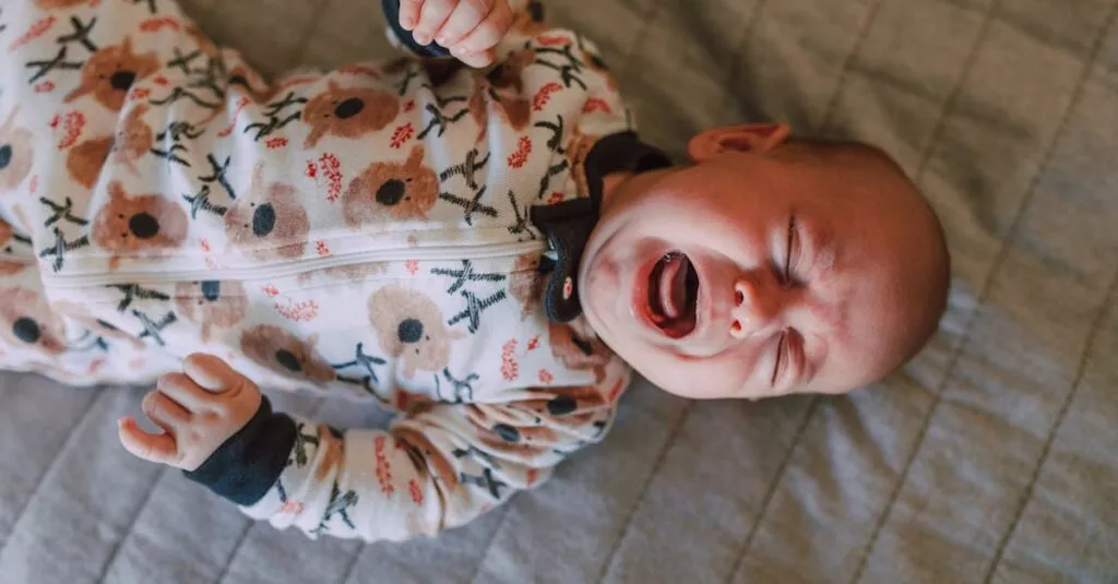 Downloaded Image594a7de95d84