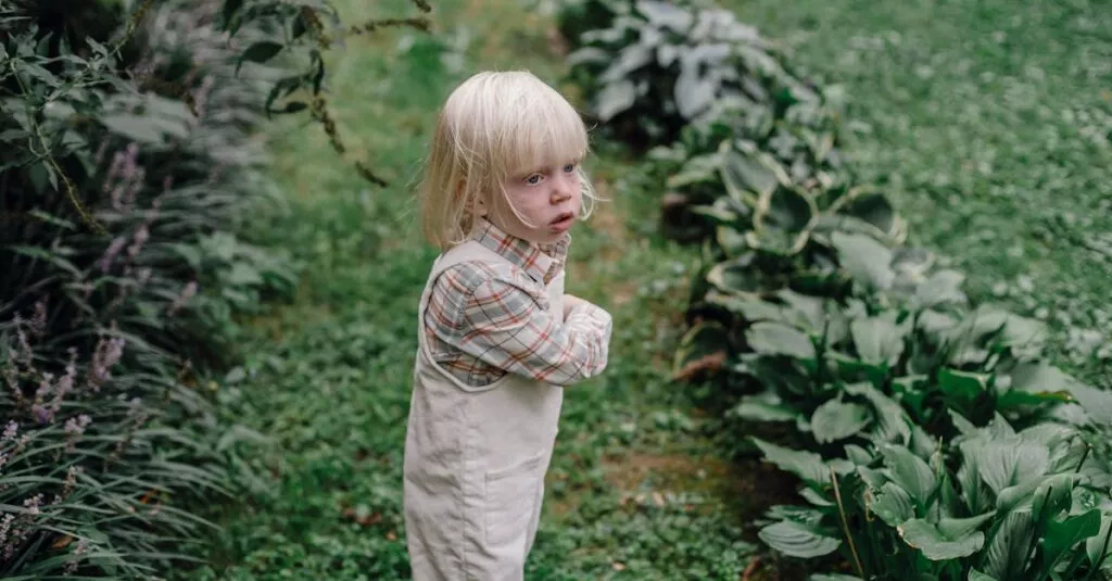 Downloaded Image5f2f33a01d52