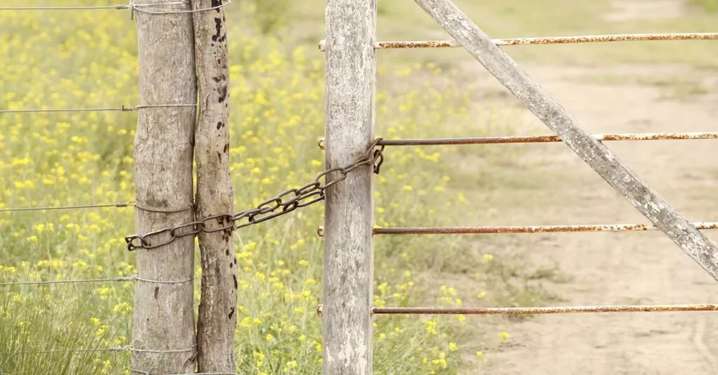 Downloaded Image6ce96c06877b