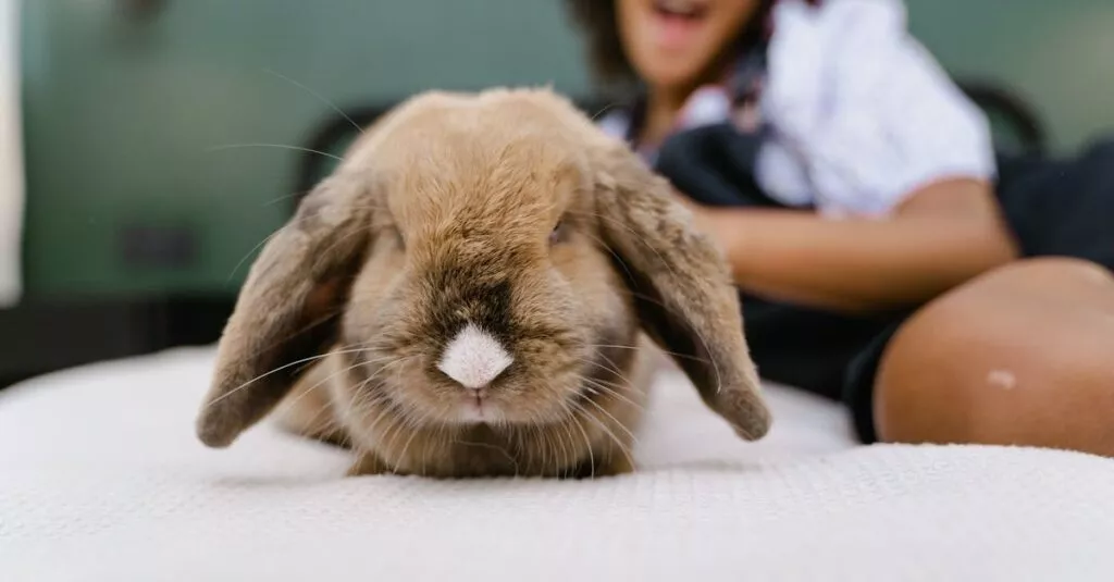 Downloaded Image7aa45fa5af78