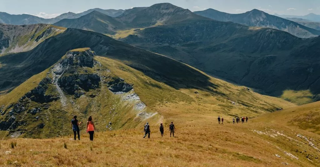 Downloaded Imagea4a1c5836a9