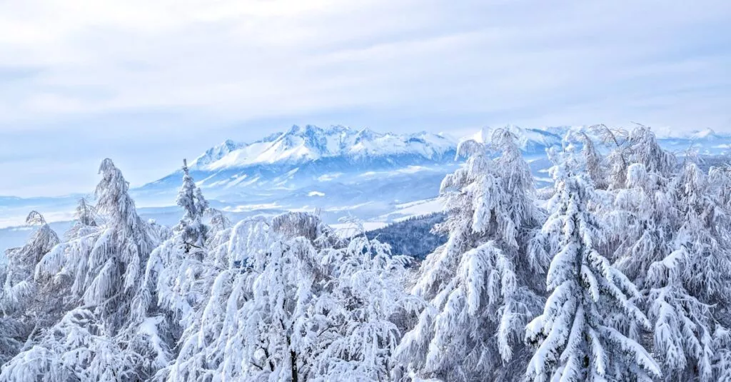 Downloaded Imageb2d291d0a80