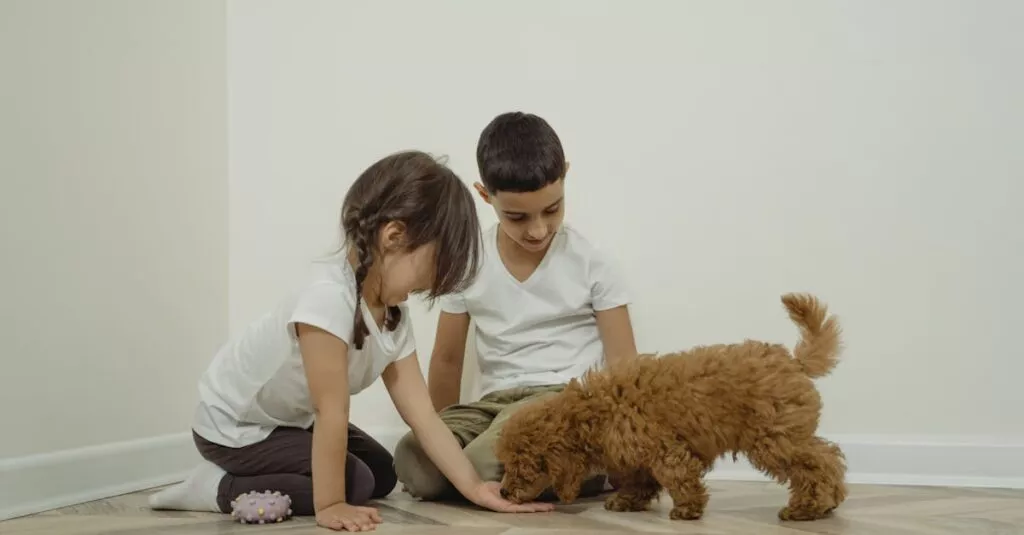 Downloaded Imagedbd34e915ac