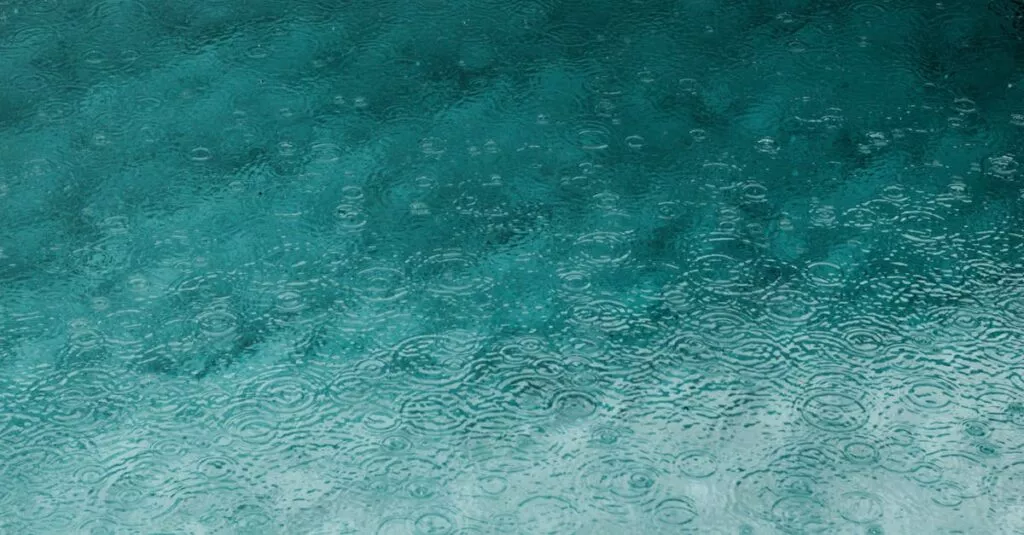 Downloaded Image195f39f2e71c