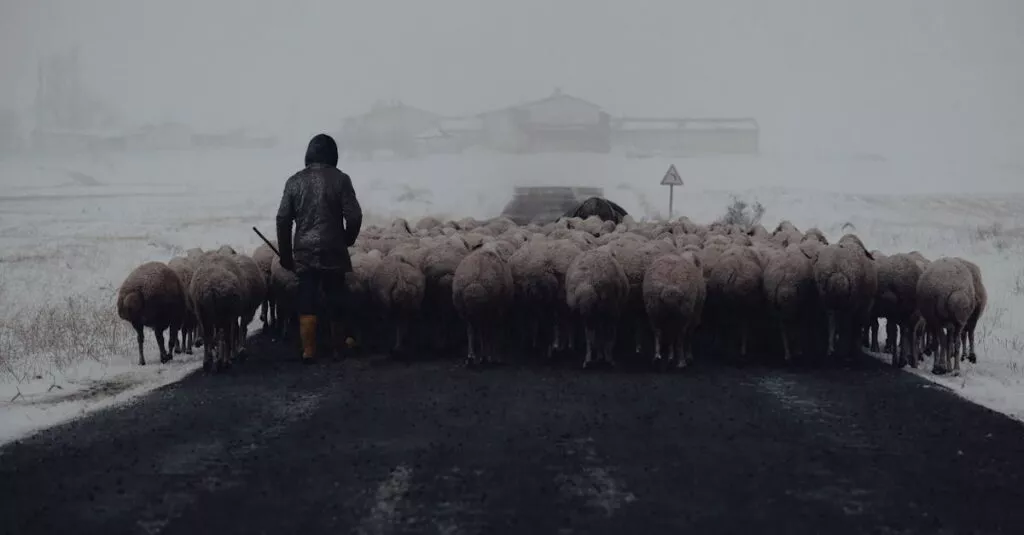 Downloaded Image195f48da8ffa