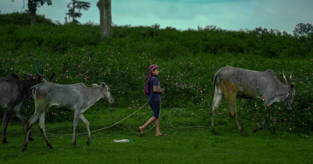 Downloaded Image195fc05d93d