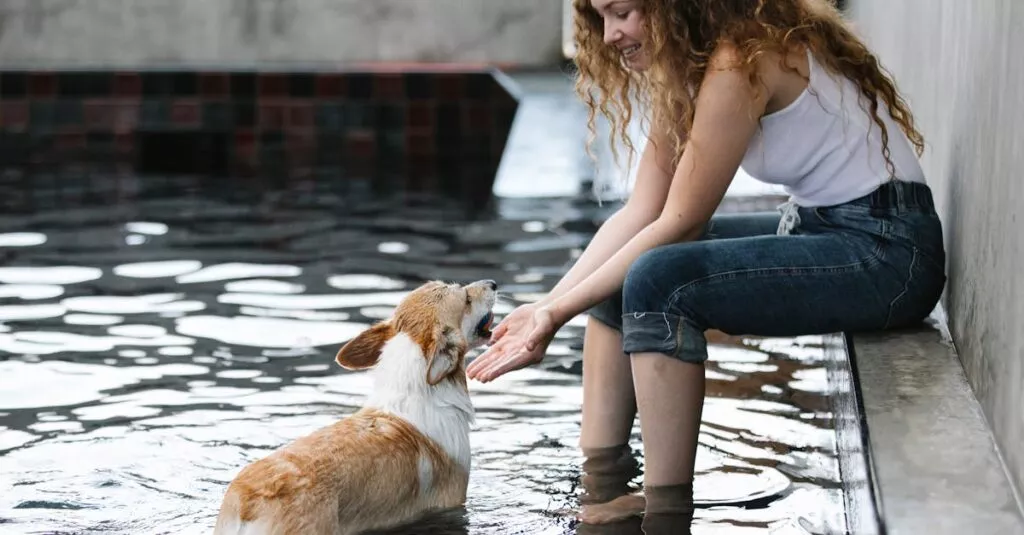 Downloaded Image23478ac84c0