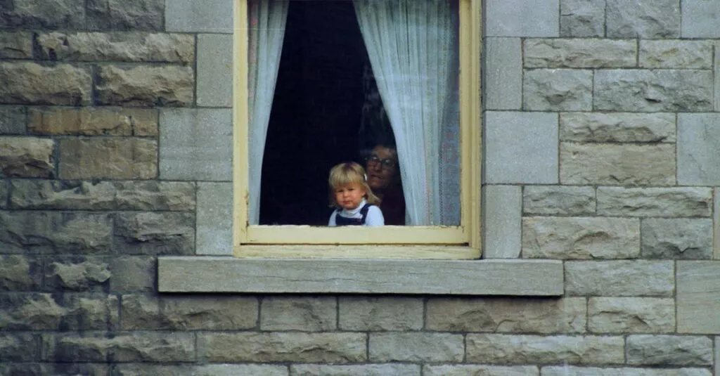 Downloaded Image3dc7623896f2