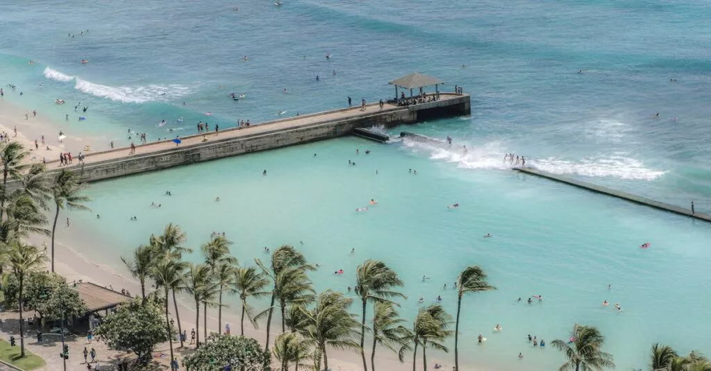 Downloaded Image45e41a7188d7