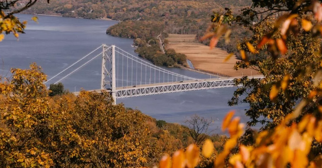 Downloaded Image49e6586b9a45