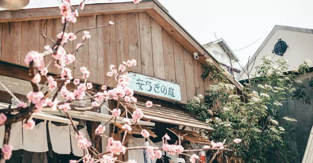 Downloaded Image5dca59b72cbe