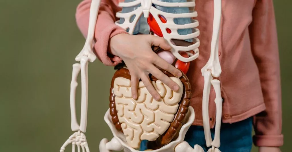 Downloaded Image607e34468e02