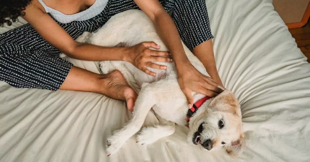 Downloaded Image638027792f87