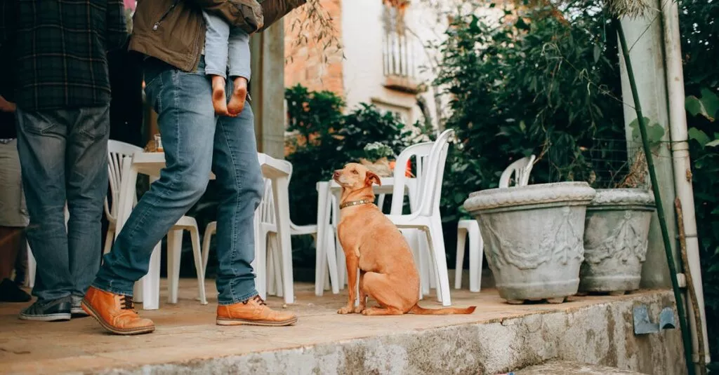 Downloaded Image6b516d1e9925