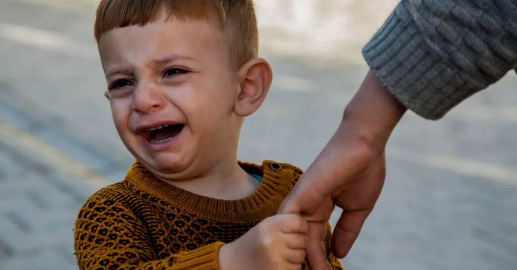 Downloaded Image6cd67d3be84