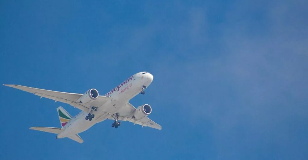 Downloaded Image71f219183cc6