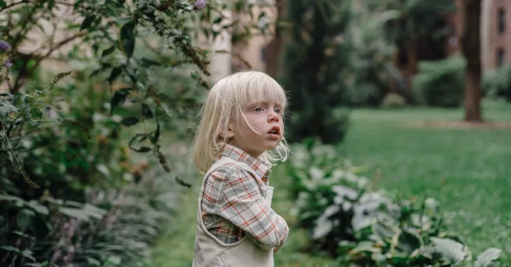 Downloaded Image87e2444040c