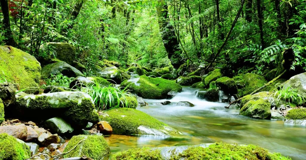 Downloaded Image87e5356777a