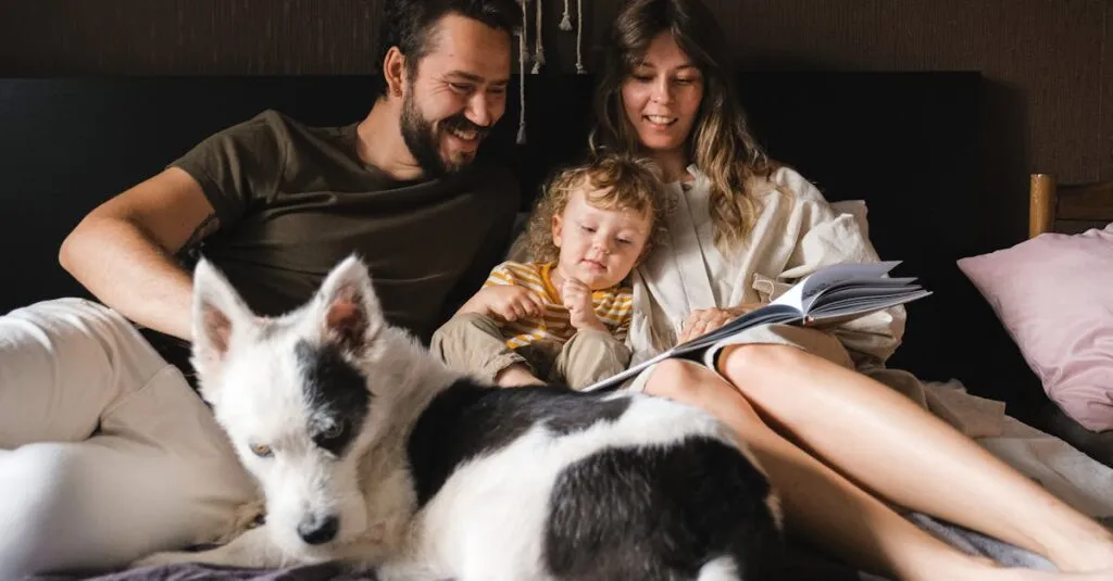 Downloaded Image1fe122b7dcbe