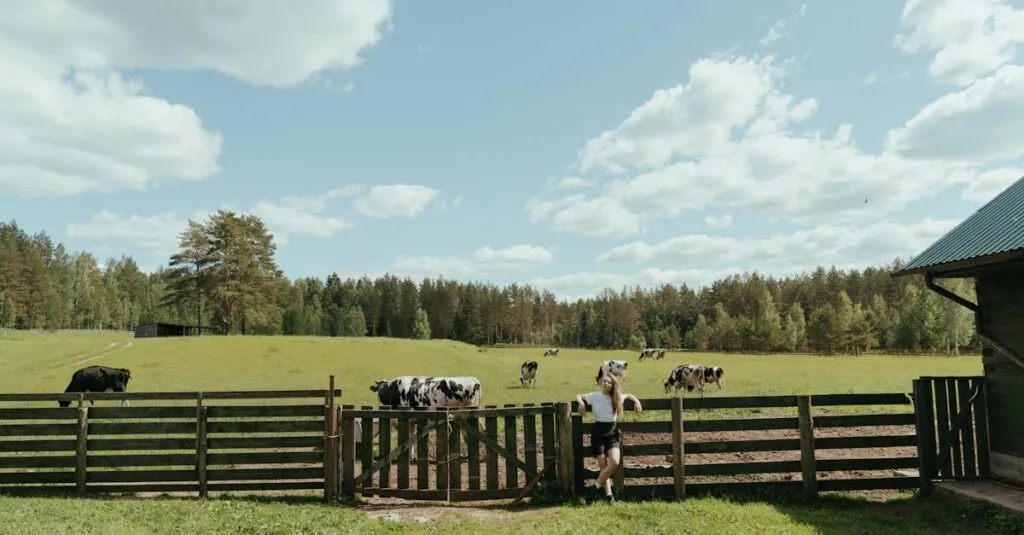 Downloaded Image1fe16b643edf