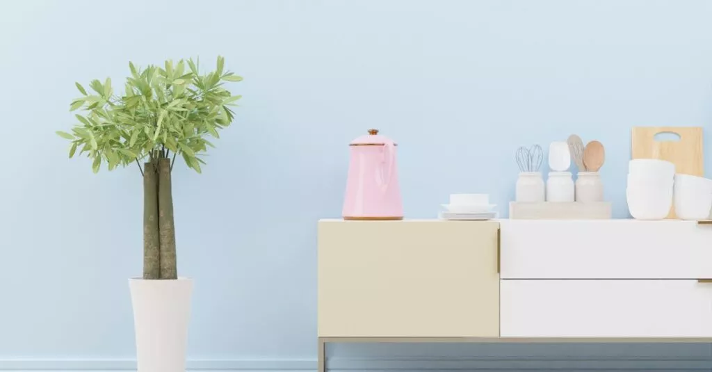 Downloaded Image2c435cbcaa