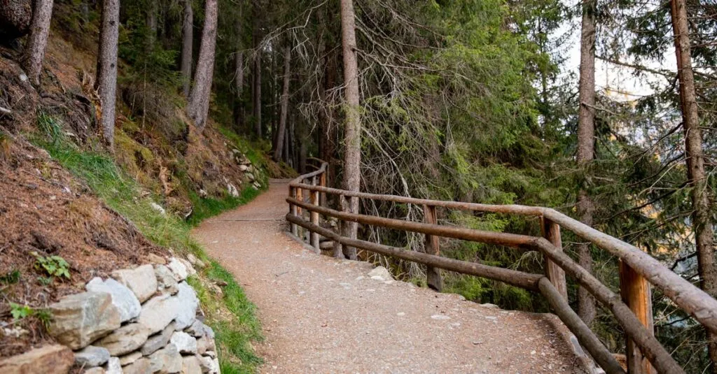 Downloaded Image33ea77b1ef60