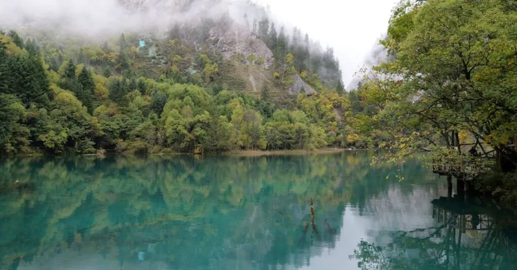 Downloaded Image38c050abe849