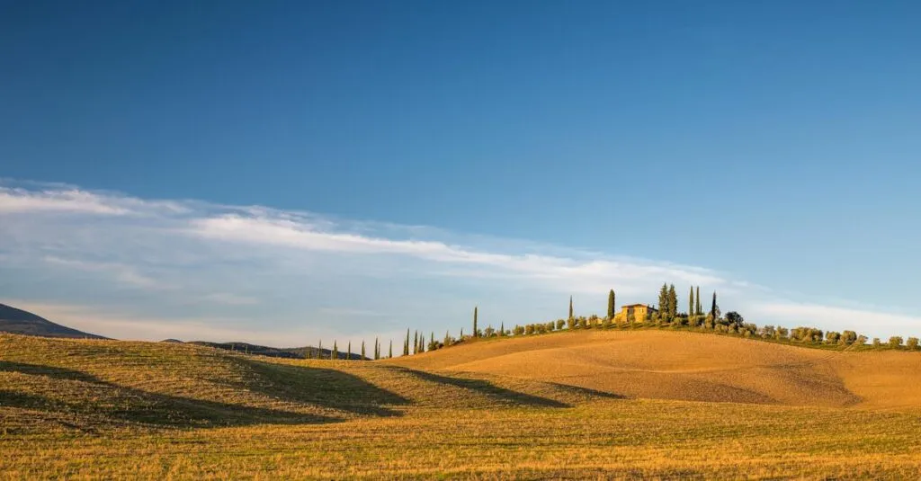 Downloaded Image454346e67bff